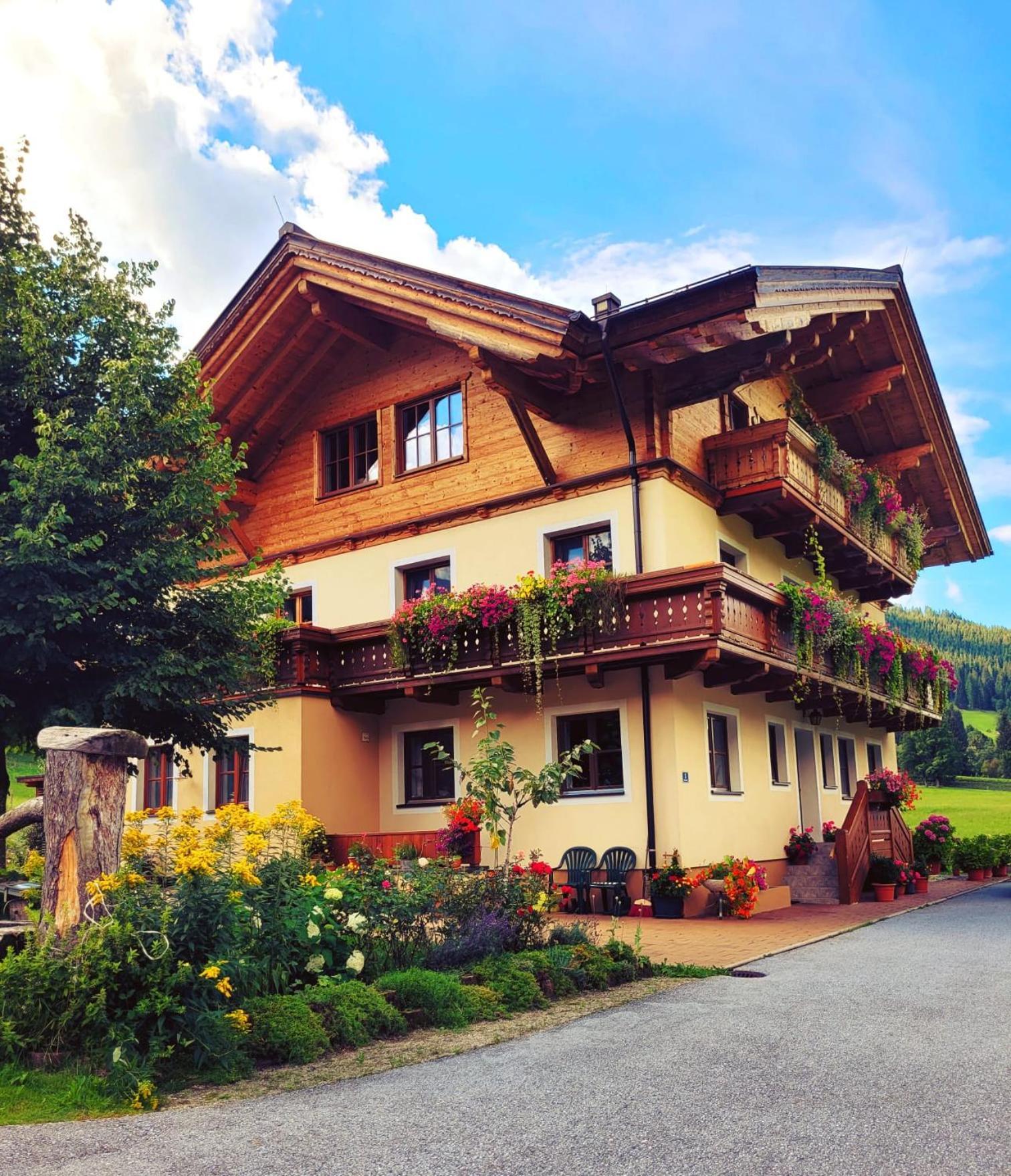 Appartement Arche Hof Oebristhof à Kleinarl Extérieur photo