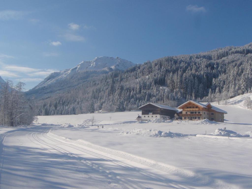 Appartement Arche Hof Oebristhof à Kleinarl Extérieur photo